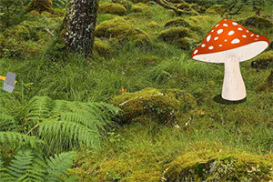 �ȴ����ִ�����