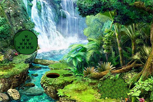 �ӳ��ٲ�ɭ��