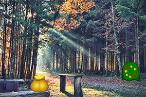 ����С¹����