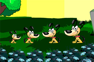 �ȳ�������СȮ