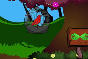 ��Ԯ��ɫ��