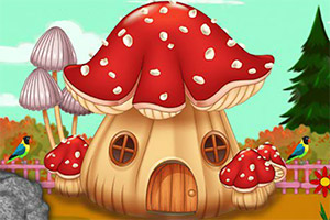 ����è��Ԯ