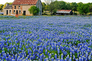 ���ﾰ������