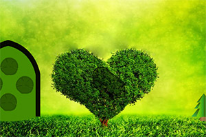 �ȳ�����