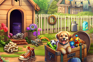 ��Ƥ��צ��