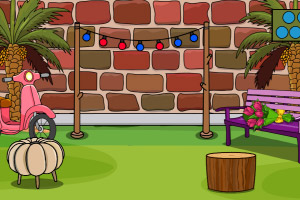 �ɰ��������