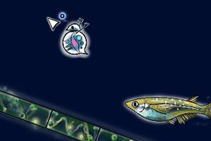 СС������