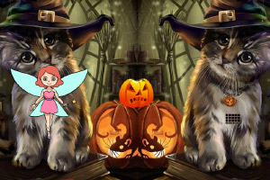 ��Ů����è֮��