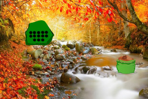 ������ֻ��è