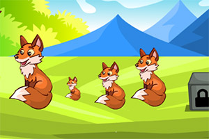 ��������ĸ��