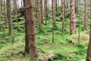 Ģ���ִ�����2