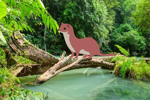 ��������