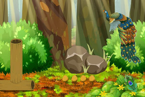 �����ȸ��