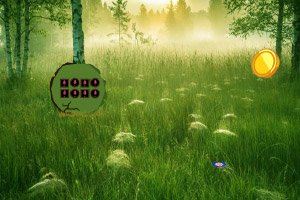 Ѱ�Ҵ����ʳ��