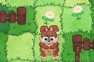 �����ֻ�