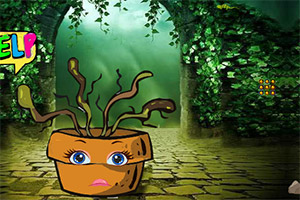 ��Ԯ��ή��ֲ��