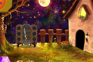 �ȳ���������