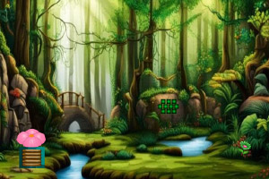 ����ˮ��