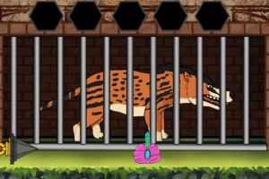 ���Ȱ�������