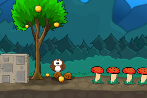 ˧���к��ӳ�����