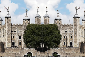 ŷ�޳����Ҳ�ͬ