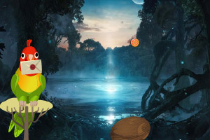 Ů����������