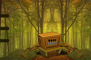 ��Ԯ����ѹ��è