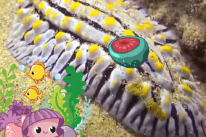 ������������