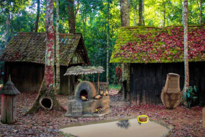 ����ɭ��������