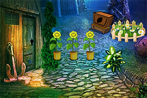 ��������Թ�