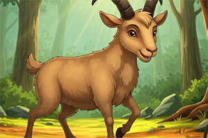 ��Ԯɭ�ֿ�����