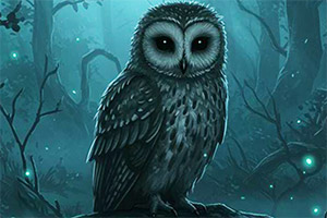 ��Ԯ��Ӱèͷӥ