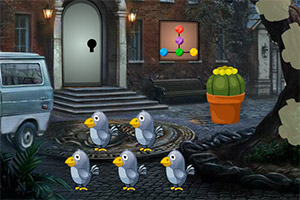 ��Ԯ�Ѻõ�èŮ