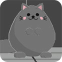 薛定谔的猫2