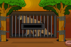 ���Ⱦ���