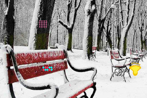 ����ʥ������