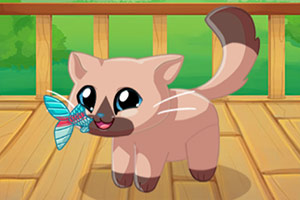 �ڴ�����Сè