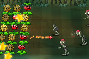 ��ŭ��ֲ��