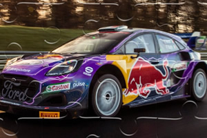 ���ر�������ƴͼ