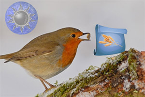 ��������ɾ�ɭ��