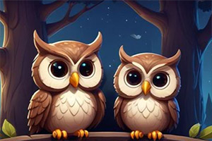 ��Ԯҹ��èͷӥ