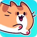 柔软的猫咪