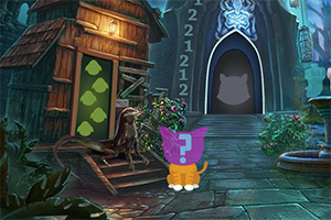 ��ԮŮ�ѵ�è