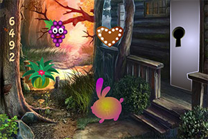 ��Ⱦ��µĹ���