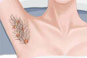 ���˽�����Ϸ